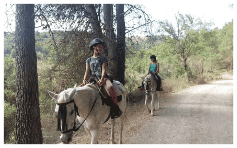Viajes de fin de curso, campamentos de verano y actividades culturales