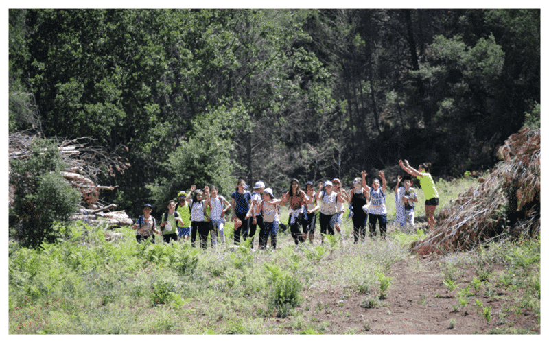Viajes de fin de curso, campamentos de verano y actividades culturales