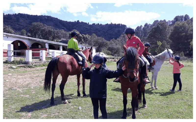 Viajes de fin de curso, campamentos de verano y actividades culturales
