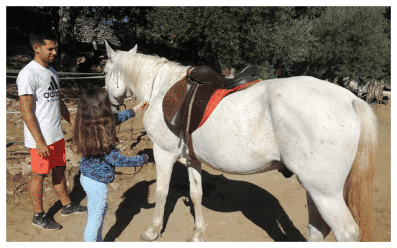 Viajes de fin de curso, campamentos de verano y actividades culturales