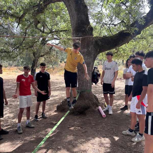 CV2026JUNIOR3 CV2026JUNIOR3