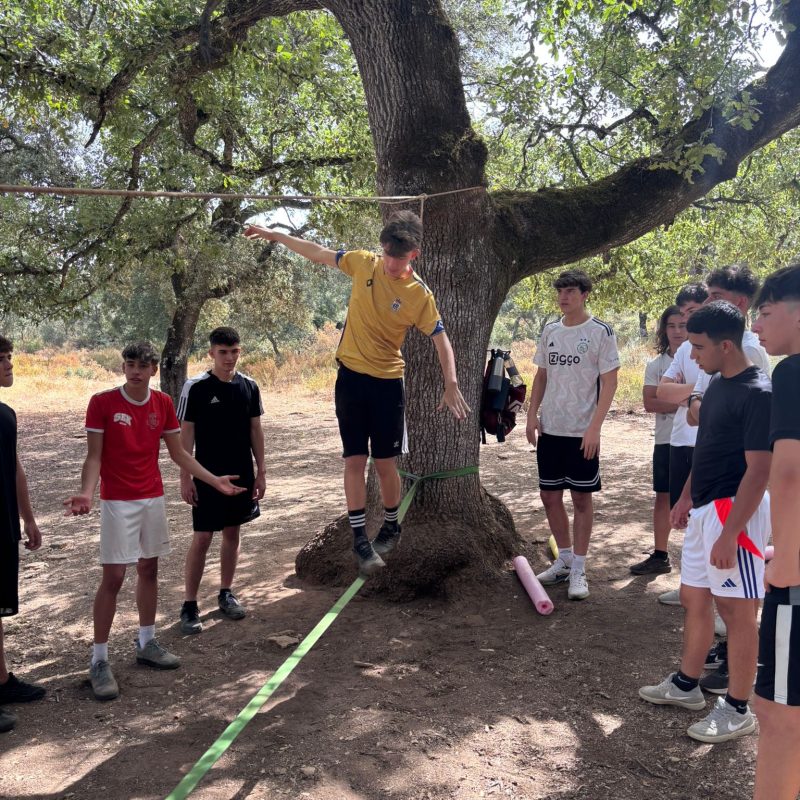 CV2026JUNIOR3 CV2026JUNIOR3